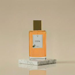 LABOYA - Coya
